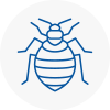 Bed Bug Extermination In Brighouse